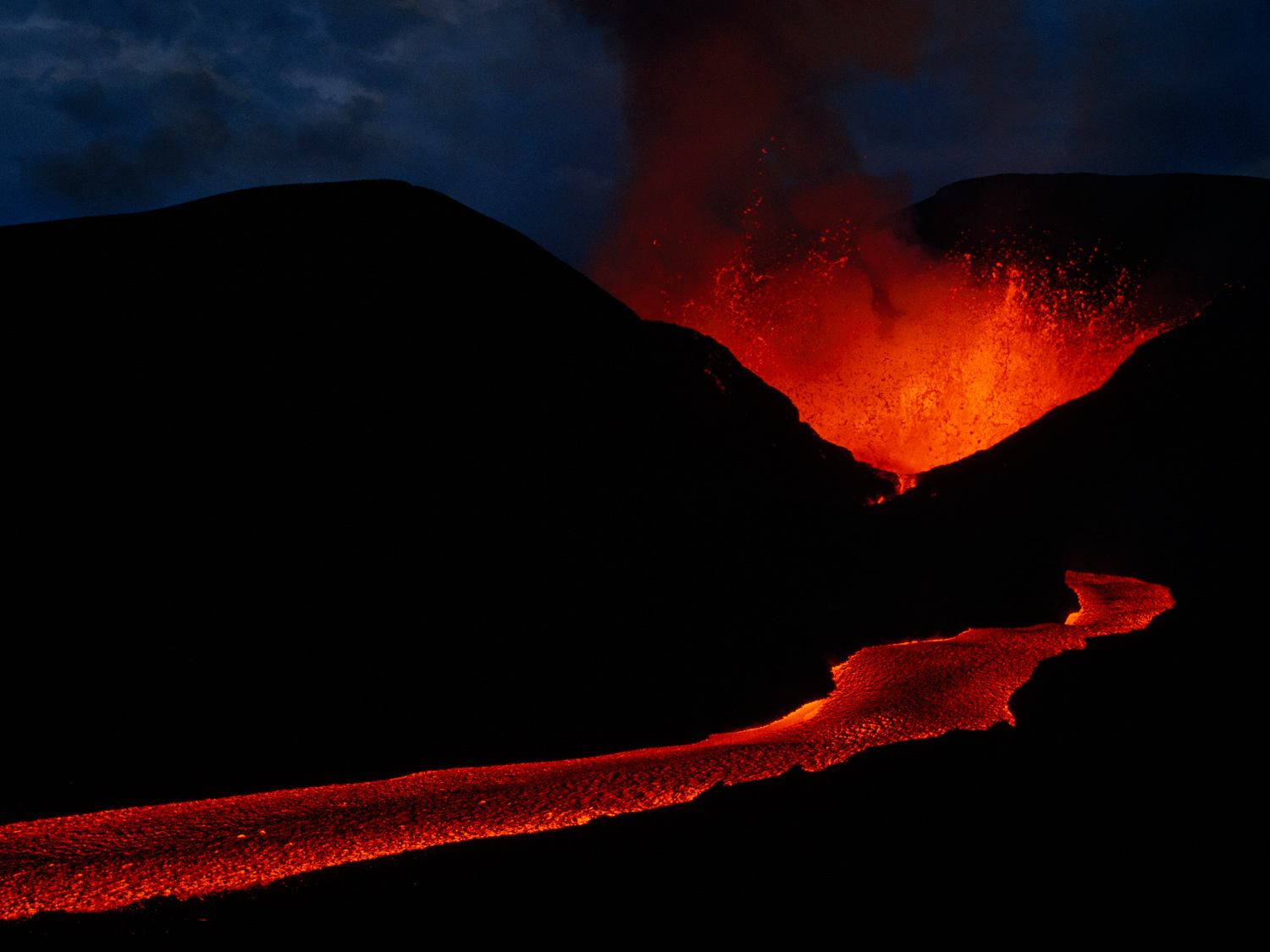 NGL_Giants_cr-Chris-Johns---National-Geographic-1_4x3